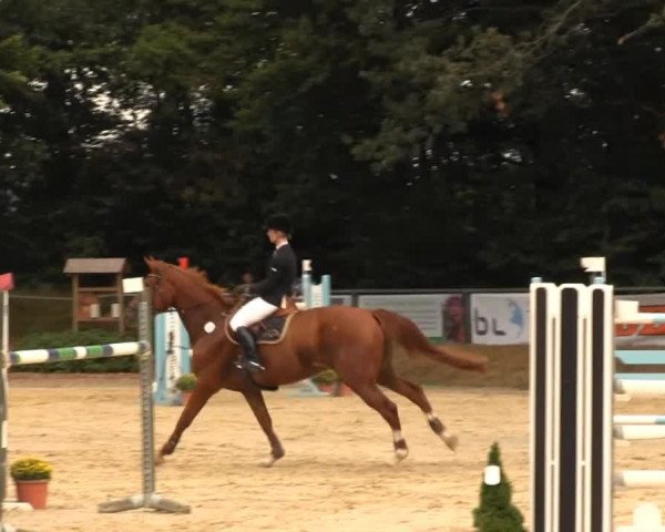 Meinerzhagen 2013