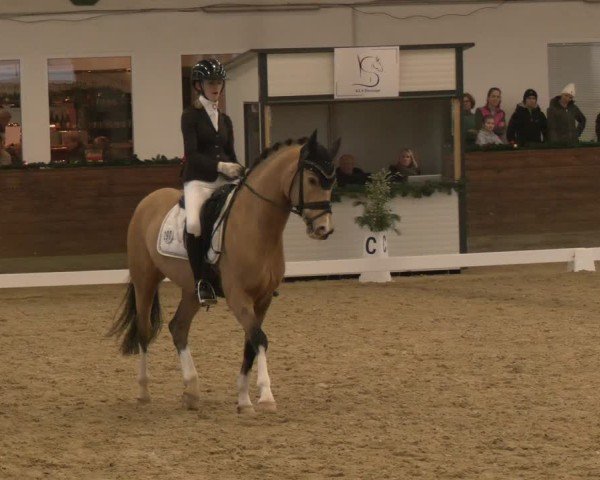 Reitturnier Coesfeld/Lette 2024
