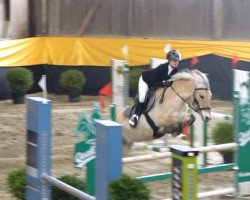 jumper Olsen (Fjord Horse, 2009)
