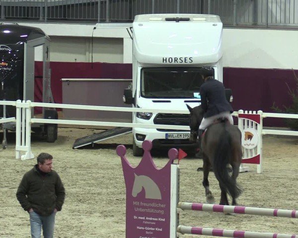 Reitturnier Neustadt/Dosse - Graf von Lindenau-Halle 2024
