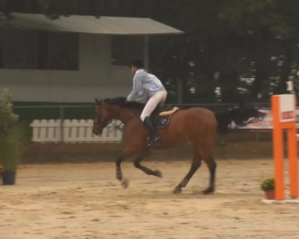 Meinerzhagen 2013