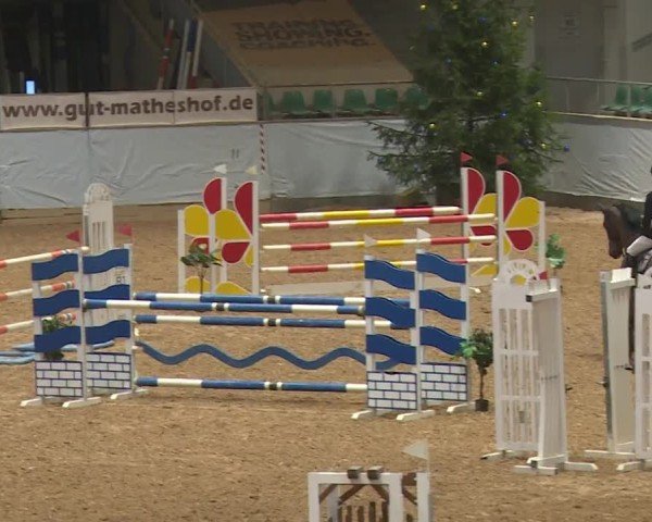 Reitturnier Kreuth/Opf. 2024