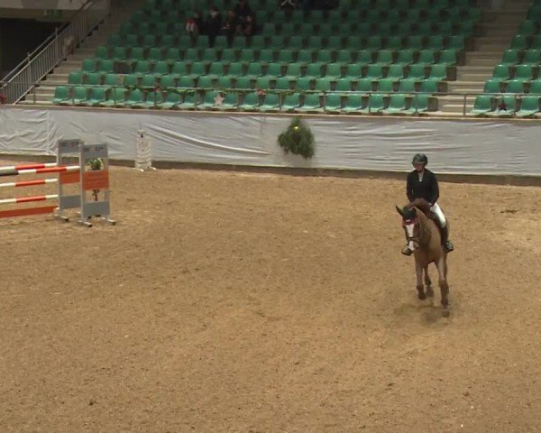 Reitturnier Kreuth/Opf. 2024