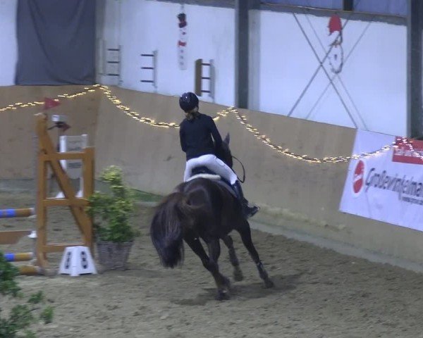 Reitturnier Borgholzhausen 2024