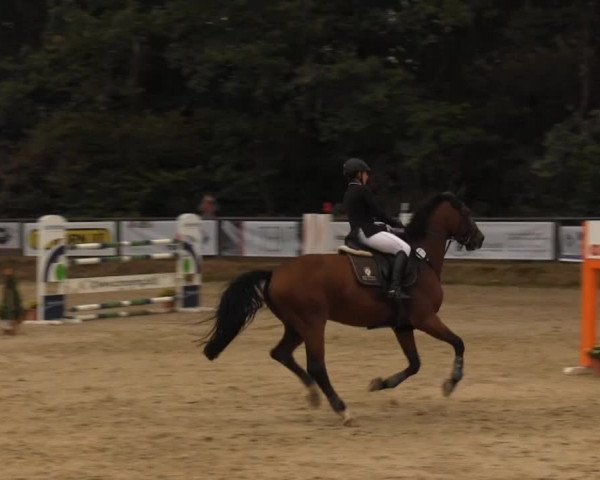 Meinerzhagen 2013