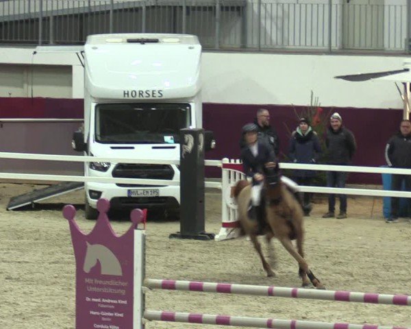 Reitturnier Neustadt/Dosse - Graf von Lindenau-Halle 2024