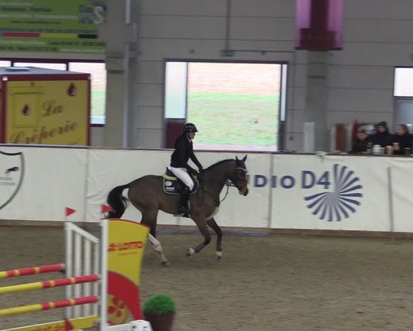 Reitturnier Prussendorf 2024