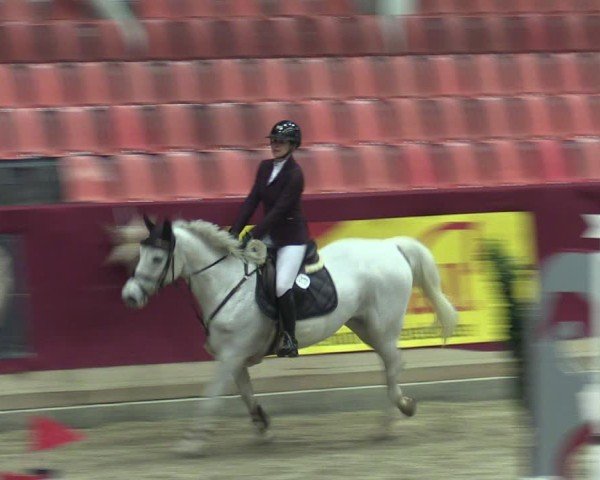 Reitturnier Neustadt/Dosse - Graf von Lindenau-Halle 2024