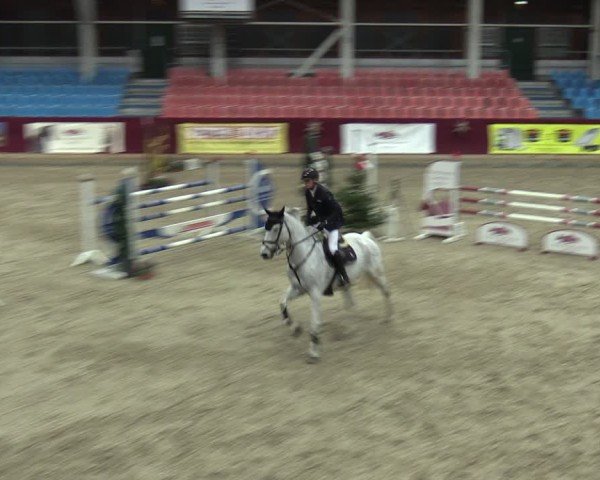 Reitturnier Neustadt/Dosse - Graf von Lindenau-Halle 2024