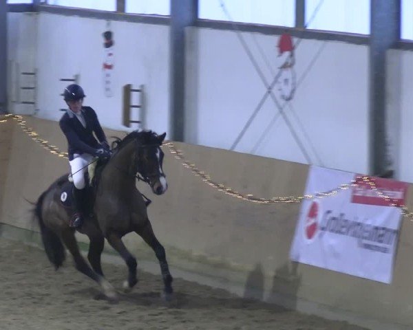 Reitturnier Borgholzhausen 2024