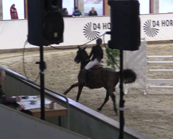 Reitturnier Prussendorf 2024