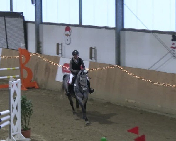 Reitturnier Borgholzhausen 2024