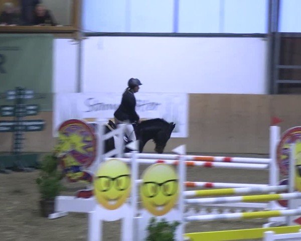 Reitturnier Borgholzhausen 2024