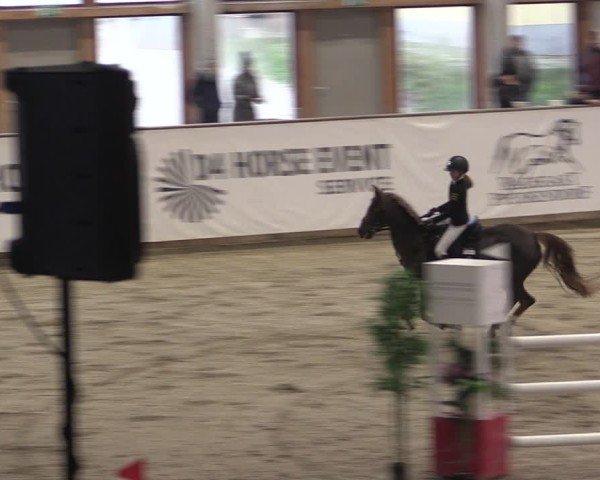 Reitturnier Prussendorf 2024