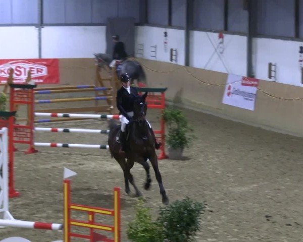 Reitturnier Borgholzhausen 2024