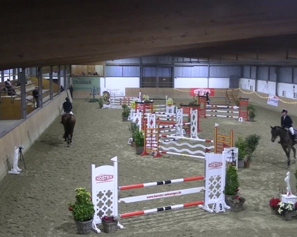 Reitturnier Borgholzhausen 2024