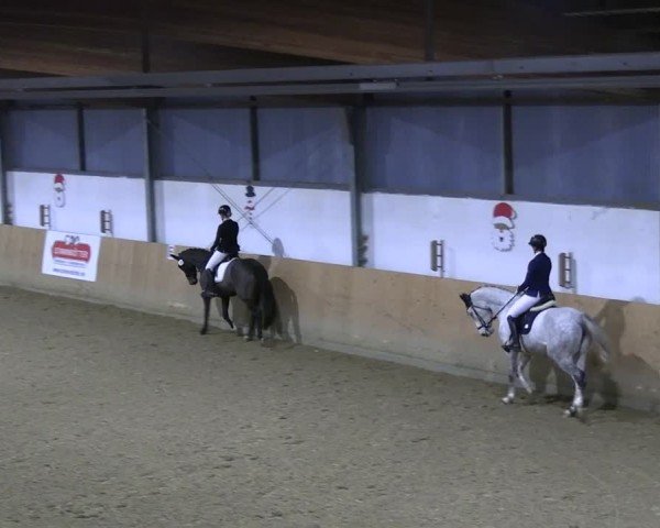 Reitturnier Borgholzhausen-Westbarthausen 2024
