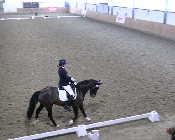 Reitturnier Borgholzhausen-Westbarthausen 2024