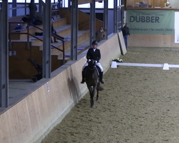 Reitturnier Borgholzhausen-Westbarthausen 2024