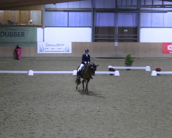 Reitturnier Borgholzhausen-Westbarthausen 2024