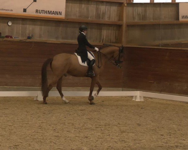 Reitturnier Coesfeld/Lette 2024