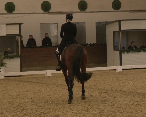 Reitturnier Coesfeld/Lette 2024