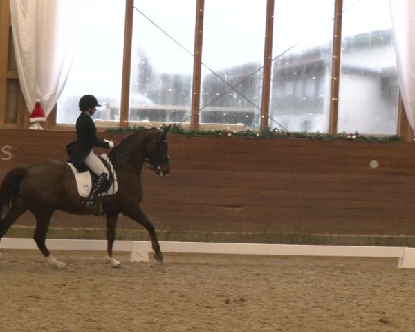 Reitturnier Coesfeld/Lette 2024