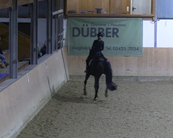 Reitturnier Borgholzhausen-Westbarthausen 2024