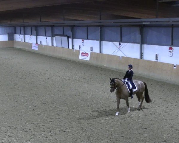 Reitturnier Borgholzhausen-Westbarthausen 2024