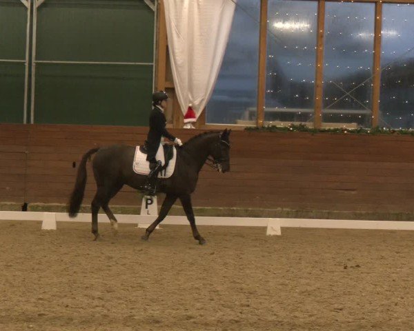 Reitturnier Coesfeld/Lette 2024