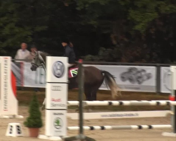 Meinerzhagen 2013