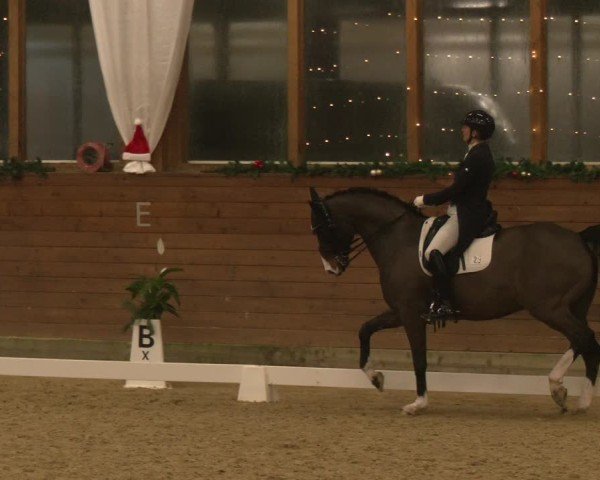 Reitturnier Coesfeld/Lette 2024