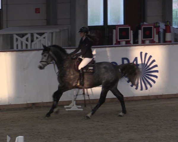 Reitturnier Prussendorf 2024