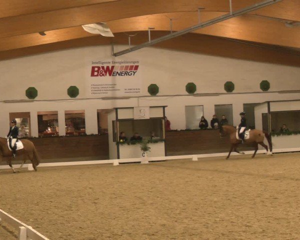 Reitturnier Coesfeld/Lette 2024