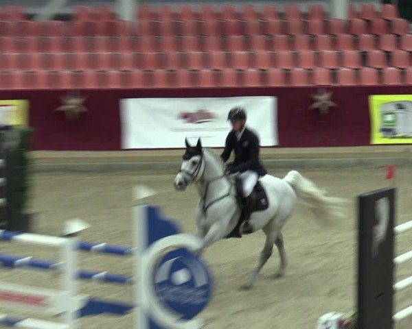 Reitturnier Neustadt/Dosse - Graf von Lindenau-Halle 2024