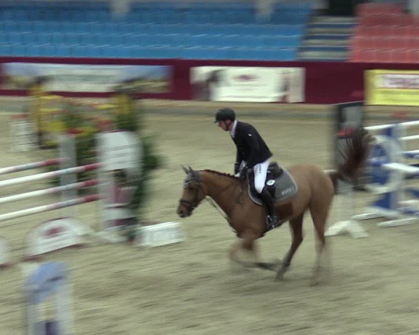 Reitturnier Neustadt/Dosse - Graf von Lindenau-Halle 2024