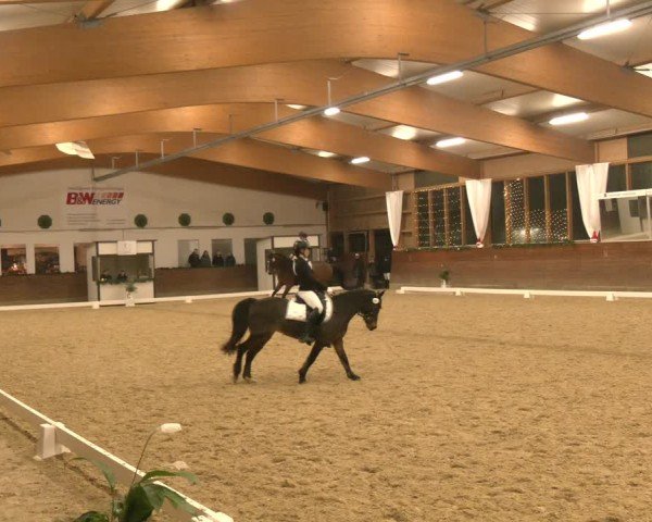 Reitturnier Coesfeld/Lette 2024