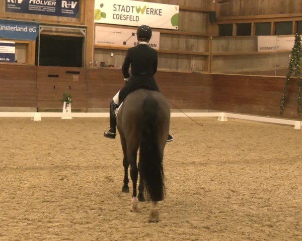 Reitturnier Coesfeld/Lette 2024