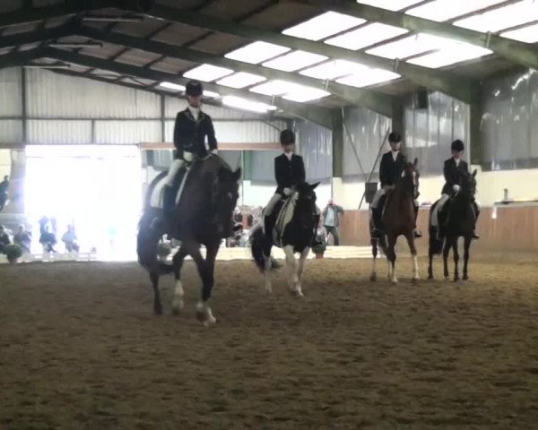 Reitturnier Essen-Kupferdreh 2013