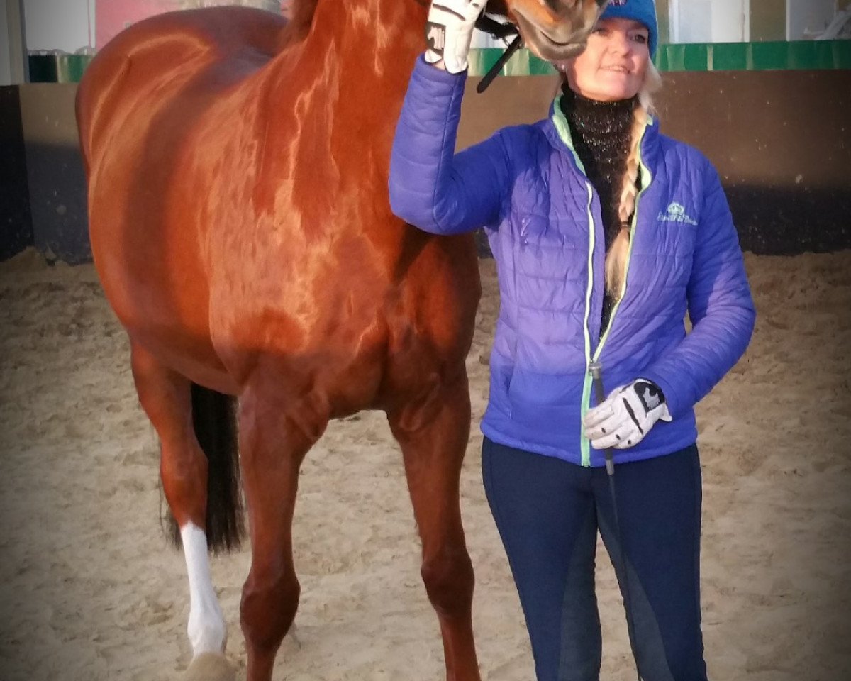 broodmare Cacharel (Westphalian, 2005, from Christoph Columbus)