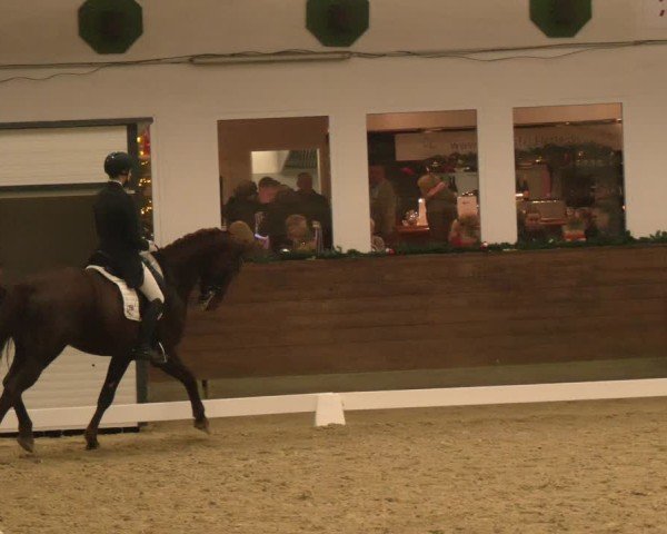 Reitturnier Coesfeld/Lette 2024
