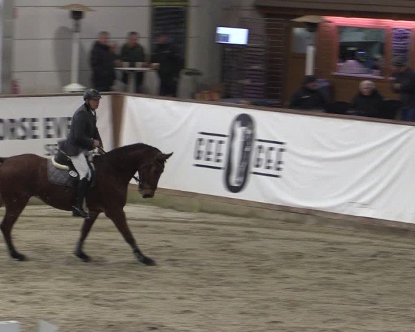 Reitturnier Prussendorf 2024
