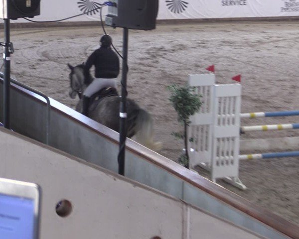 Reitturnier Prussendorf 2024