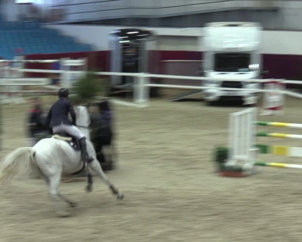 Reitturnier Neustadt/Dosse - Graf von Lindenau-Halle 2024