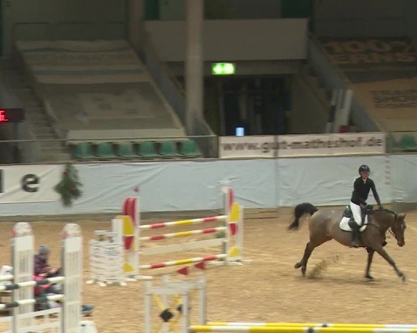 Reitturnier Kreuth/Opf. 2024