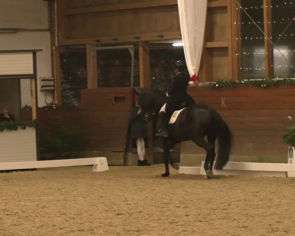 Reitturnier Coesfeld/Lette 2024