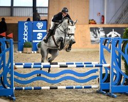 jumper Chelesta (Bulgarian Warmblood, 2018, from Chellentano)