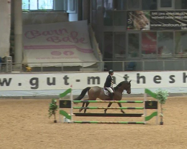 Reitturnier Kreuth/Opf. 2024
