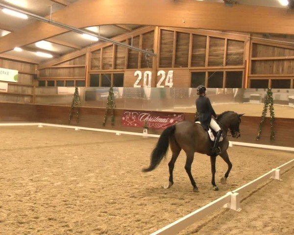 Reitturnier Coesfeld/Lette 2024