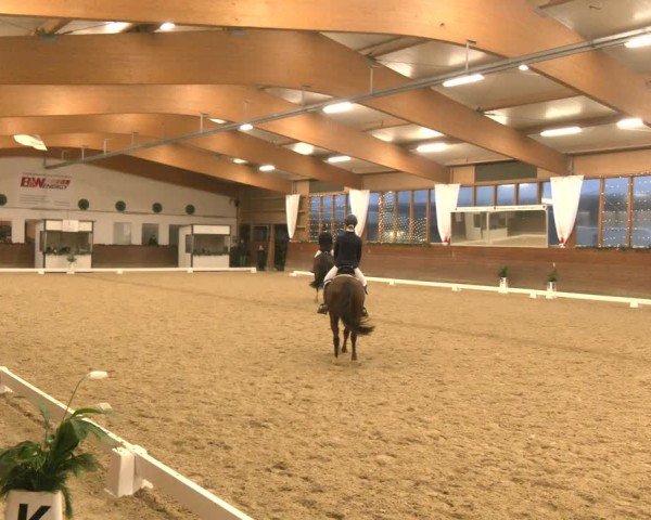 Reitturnier Coesfeld/Lette 2024